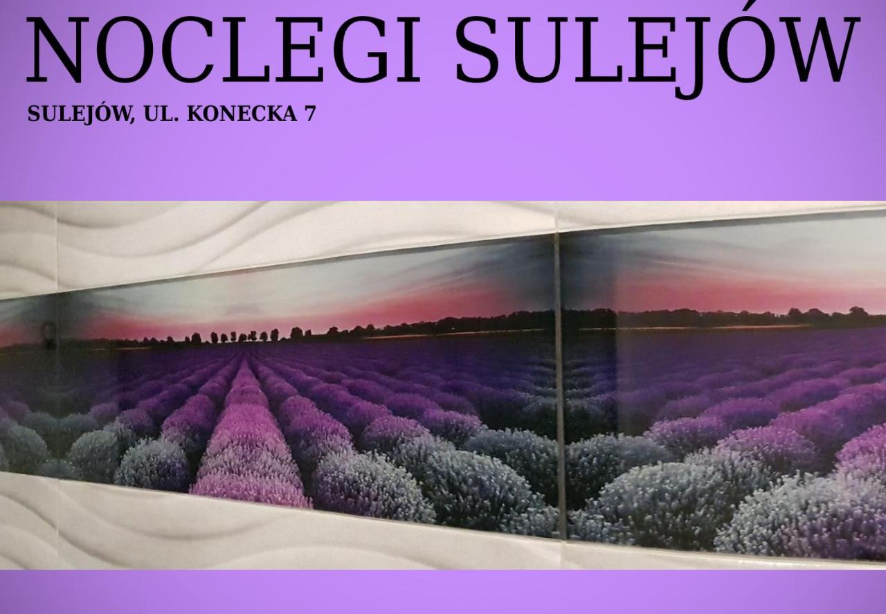 Noclegi Sulejów Exterior foto